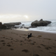 Illustration for article titled 10,000 Mile Road Trip: Day 13 - Redondo Beach to Cambria